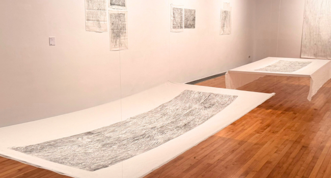 El Museu d’Art proposa una visita guiada per descobrir l’univers creatiu de Montserrat Senserrich