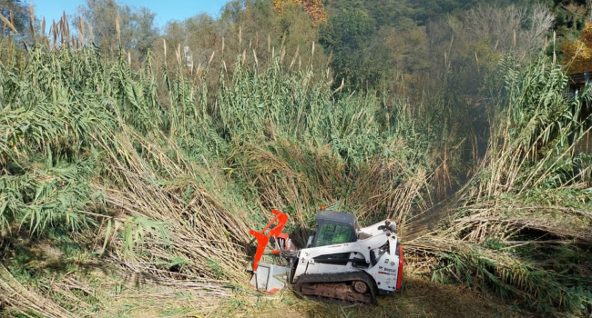 Comencen les actuacions per naturalitzar i recuperar l’espai on conflueixen el riu Tort i el Ripoll