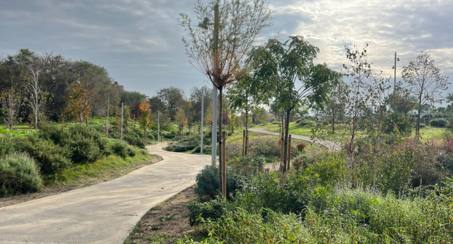 El Parc del Nord obre avui a la ciutadania com un nou espai verd amb 500 arbres nous, zones per passejar, fer esport i on els infants puguin jugar