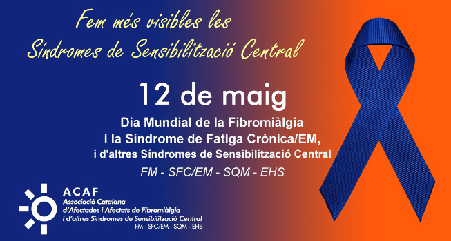 La Junta de Portaveus aprova l’adhesió al manifest de commemoració del Dia Mundial de la Fibromiàlgia