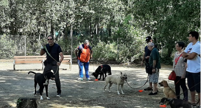 Èxit de participació en el primer curs d’obediència bàsica per a persones propietàries de gossos