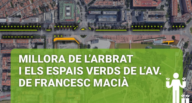 Comencen els treballs per millorar l’arbrat i els espais verds a l’avinguda de Francesc Macià