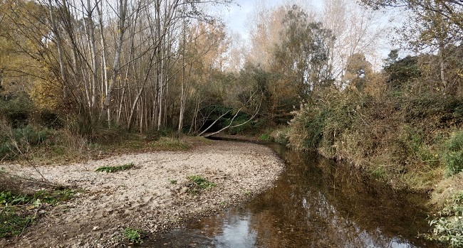Nous treballs de manteniment i conservació al parc fluvial del riu Ripoll