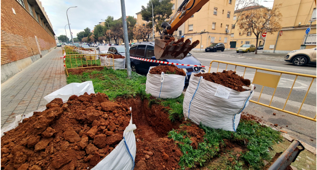 Sabadell ha plantat 2.382 arbres des de juny de 2019