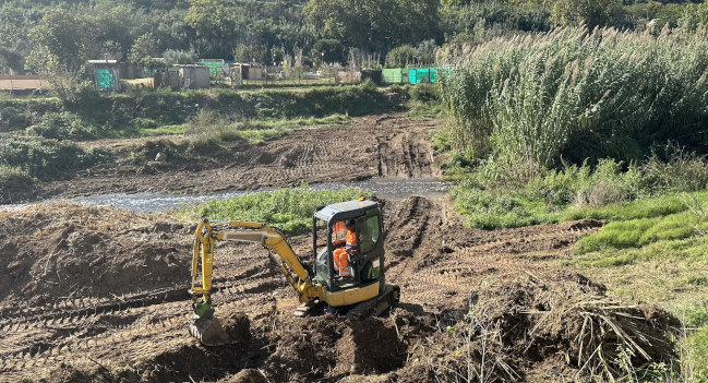 Comencen els treballs per retirar la canya americana a gairebé 3.000 m2 del riu Ripoll