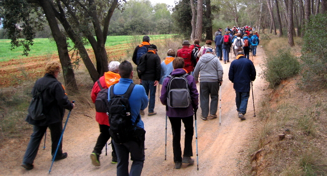 Més de 100 persones de tres municipis participen a Sabadell a la “Passejada de Marxa Nòrdica per a la Gent Gran”