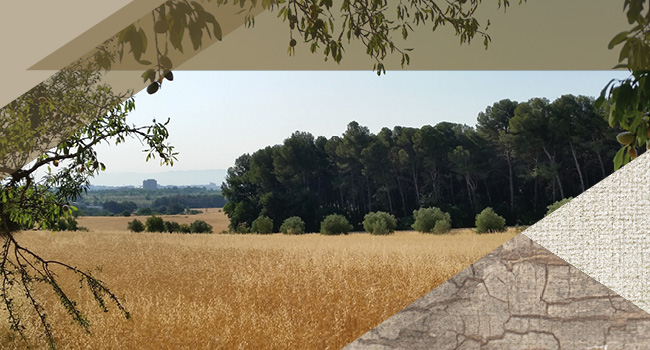 El Parc Agrari de Sabadell viu aquest diumenge un matí festiu en què es plantaran arbres i plantes aromàtiques