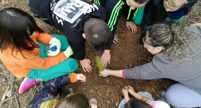 Uns 250 alumnes de tres centres educatius participen en plantades escolars als boscos de la Salut i Castellarnau